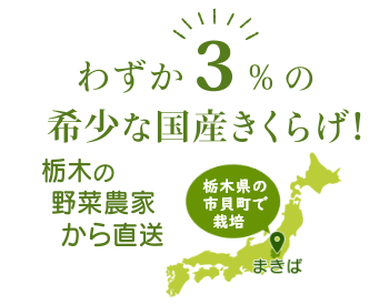 さくらげ